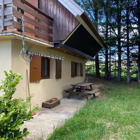 Appartement Dans Le Chalet La Chapelle-en-Vercors Exterior photo
